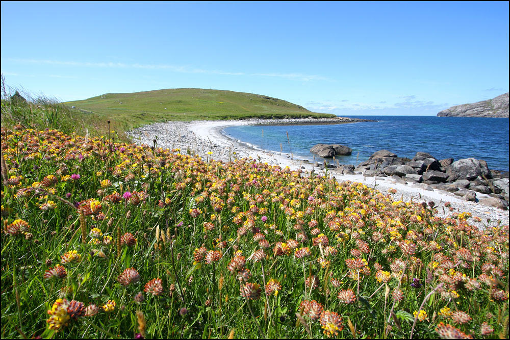 A beach on Barra