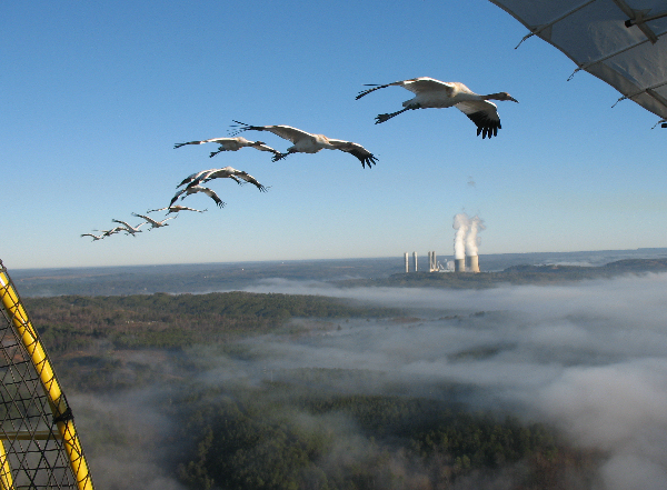 Day64_CG 063 Day64_CG 063