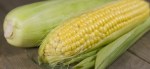 sweetcorn