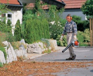 Leaf-Blower_Vacuum