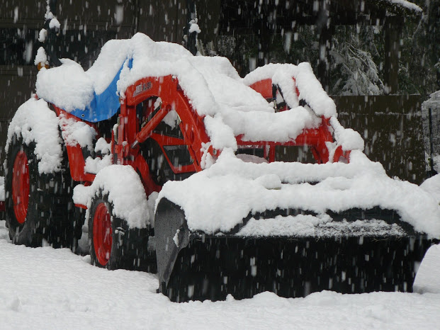 snow2