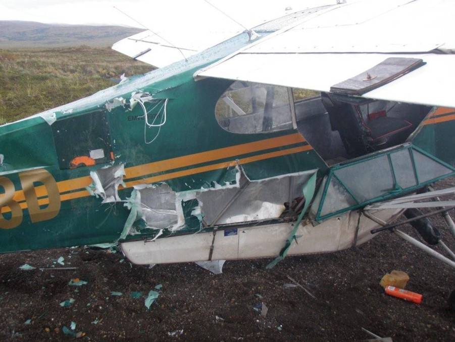 Just a bear wanting some food!