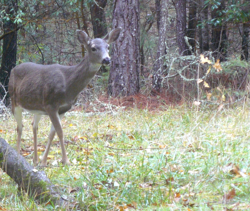 Within arm's reach of the beauty of nature.