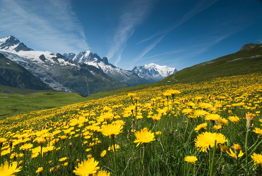 Mount Blanc, France