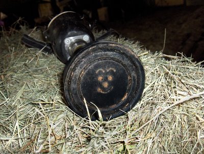 The photo shows the ground surface that she stands on has a smiley face embossed in it!