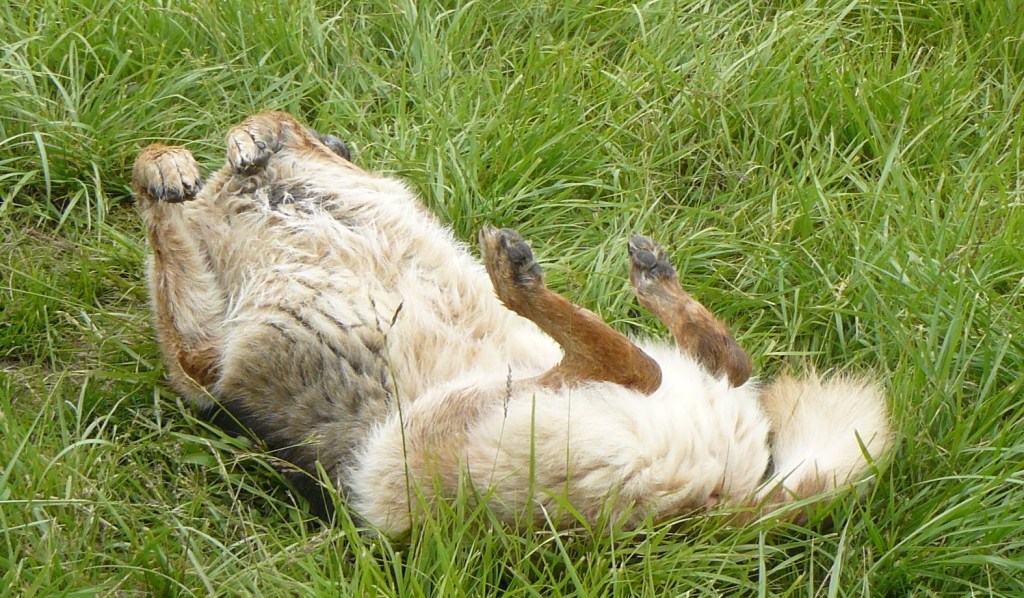 Ah, that feels so much better!