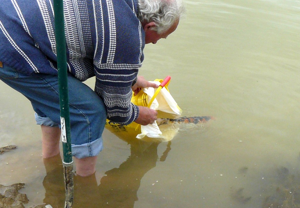 Wonder if I'll ever find my two mates?