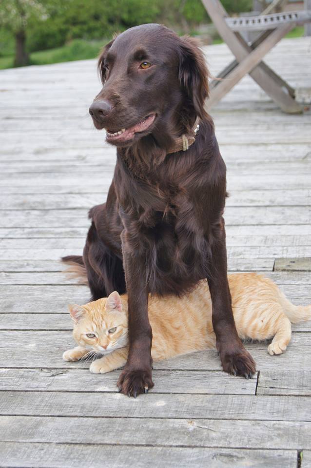 "You touch my mate and I'll have ya."