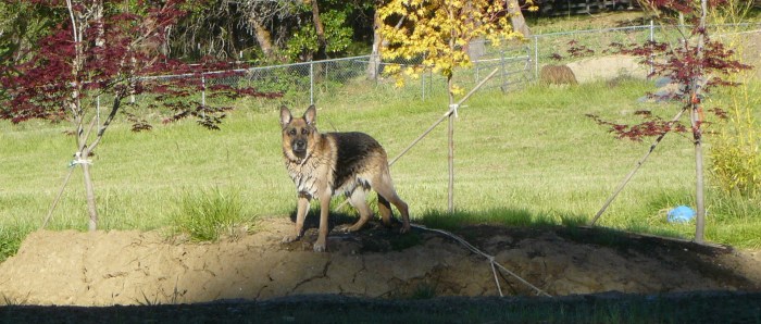 This is my island! So there!