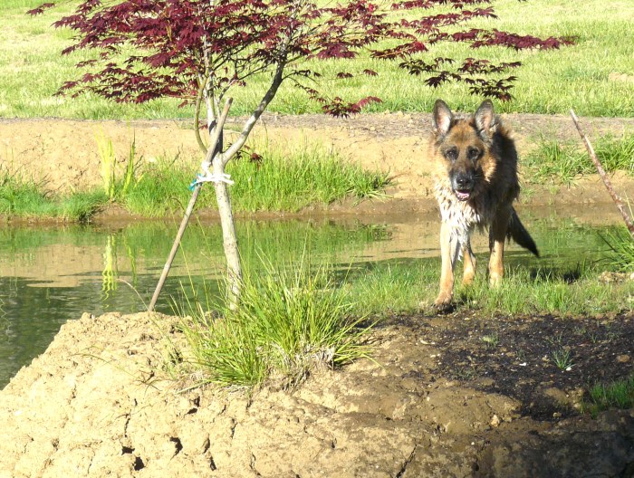 Halt! Who goes there!