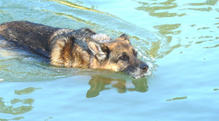 Ah, an early birthday dip! Bliss!
