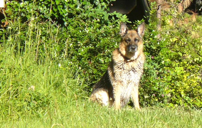 Actually, this isn't a bad life!