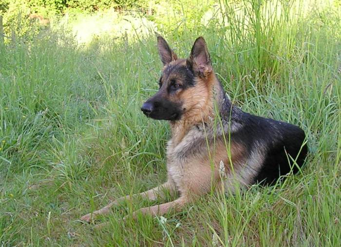 One year old: June 3rd 2004.