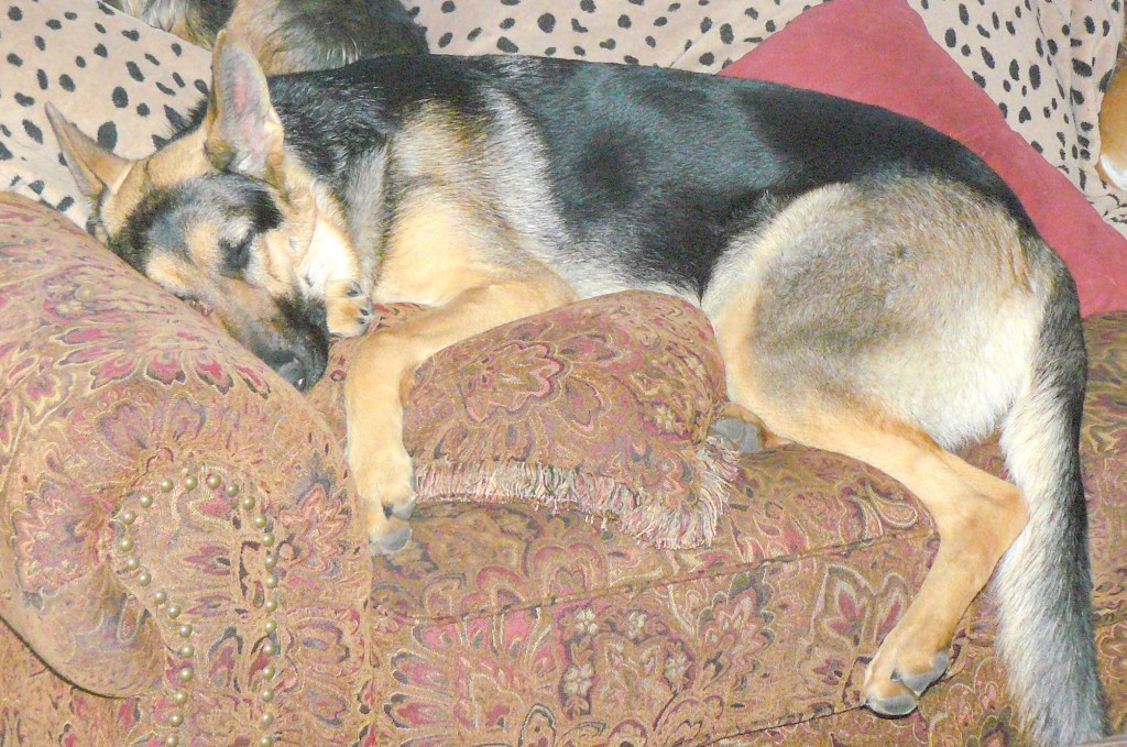 Little Sweeny and Cleo