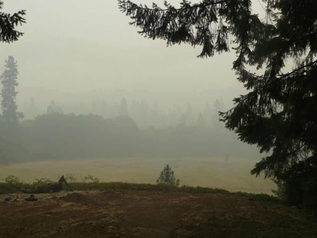 About a quarter-mile visibility, frequently worse!