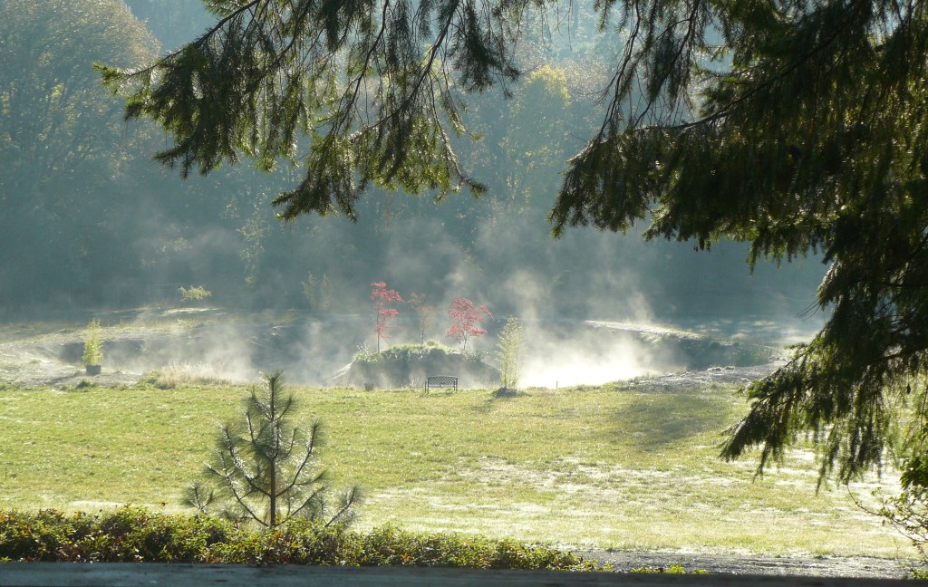 A misty October morning from a year ago.