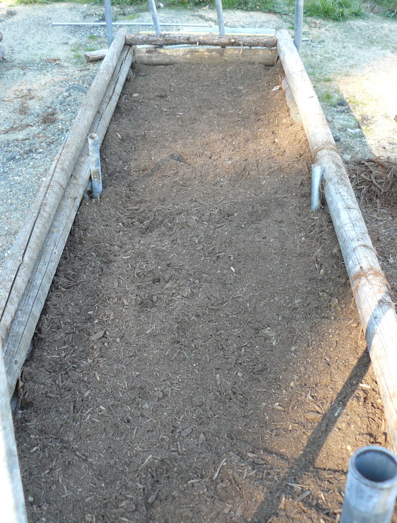 Anticipating eating our own vegetables for next year.