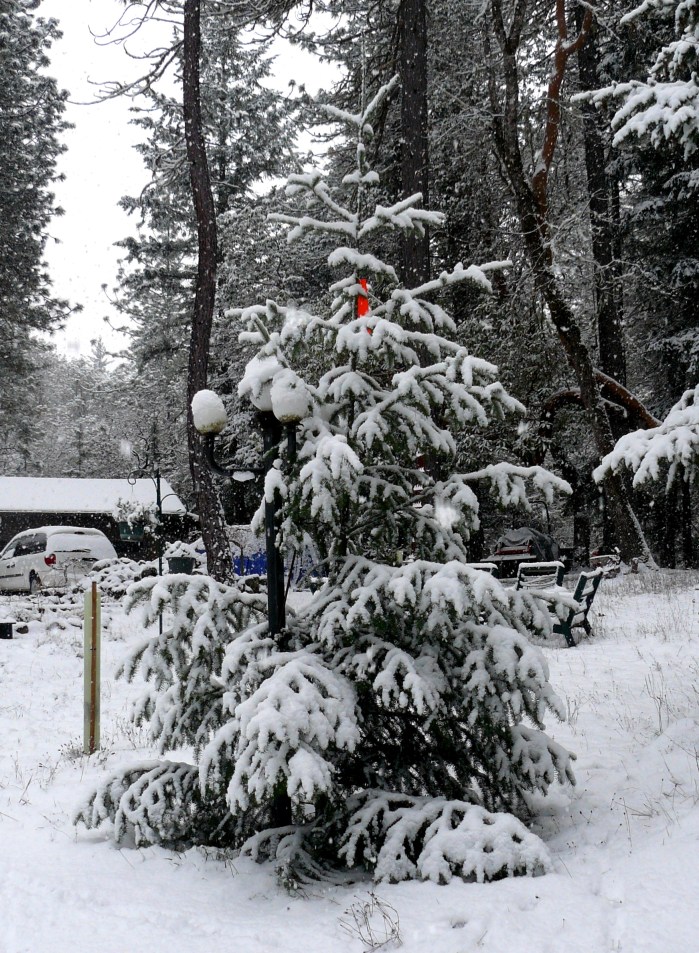 Merry Christmas from the BLM.