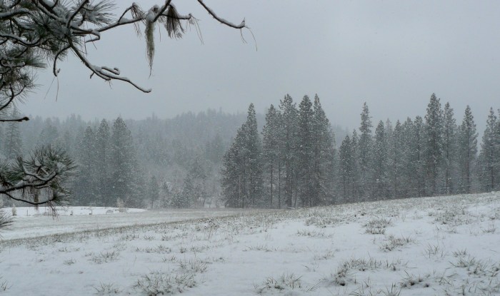 Looking across to the South-East.