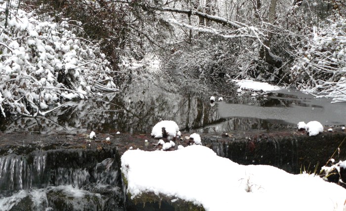 Bummer Creek, looking upstream from just above the flood irrigation dam.