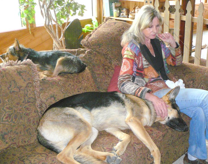 Sweeny on back of settee, Cleo loving Jean.