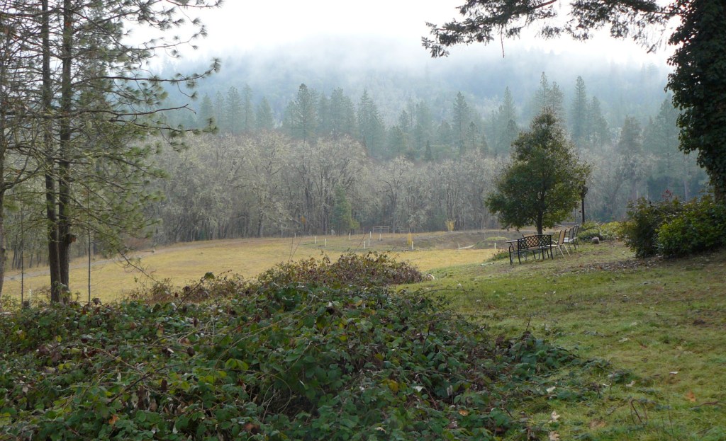 A general view down over the main area of grass.