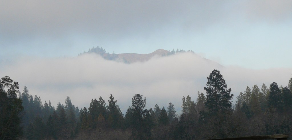 A local ridge demonstrating 'clear-cutting' mania poking above the valley mist.