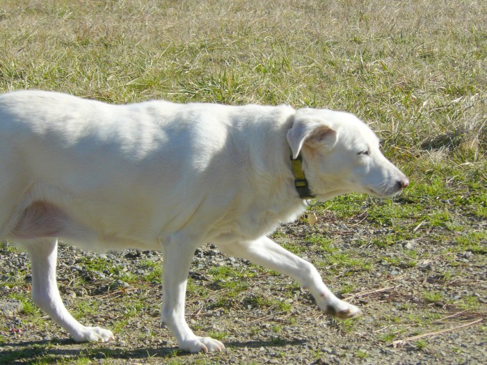 Paloma, Oregon, January 26th, 2014.