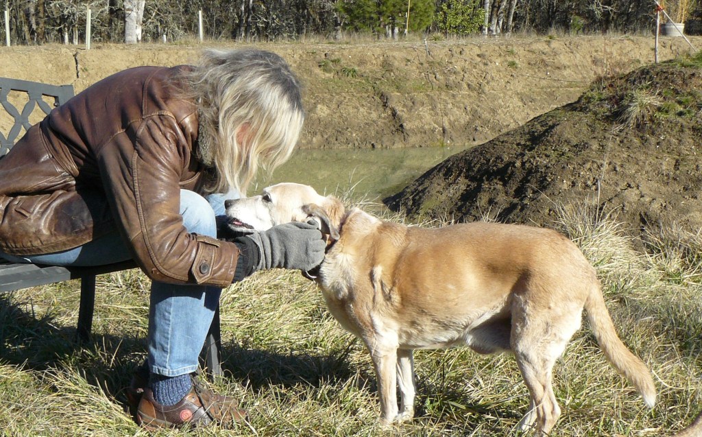 Another very recent photograph of Lilly.