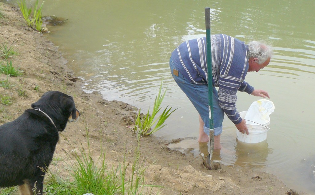 Hazel taking an interest in my potterings.
