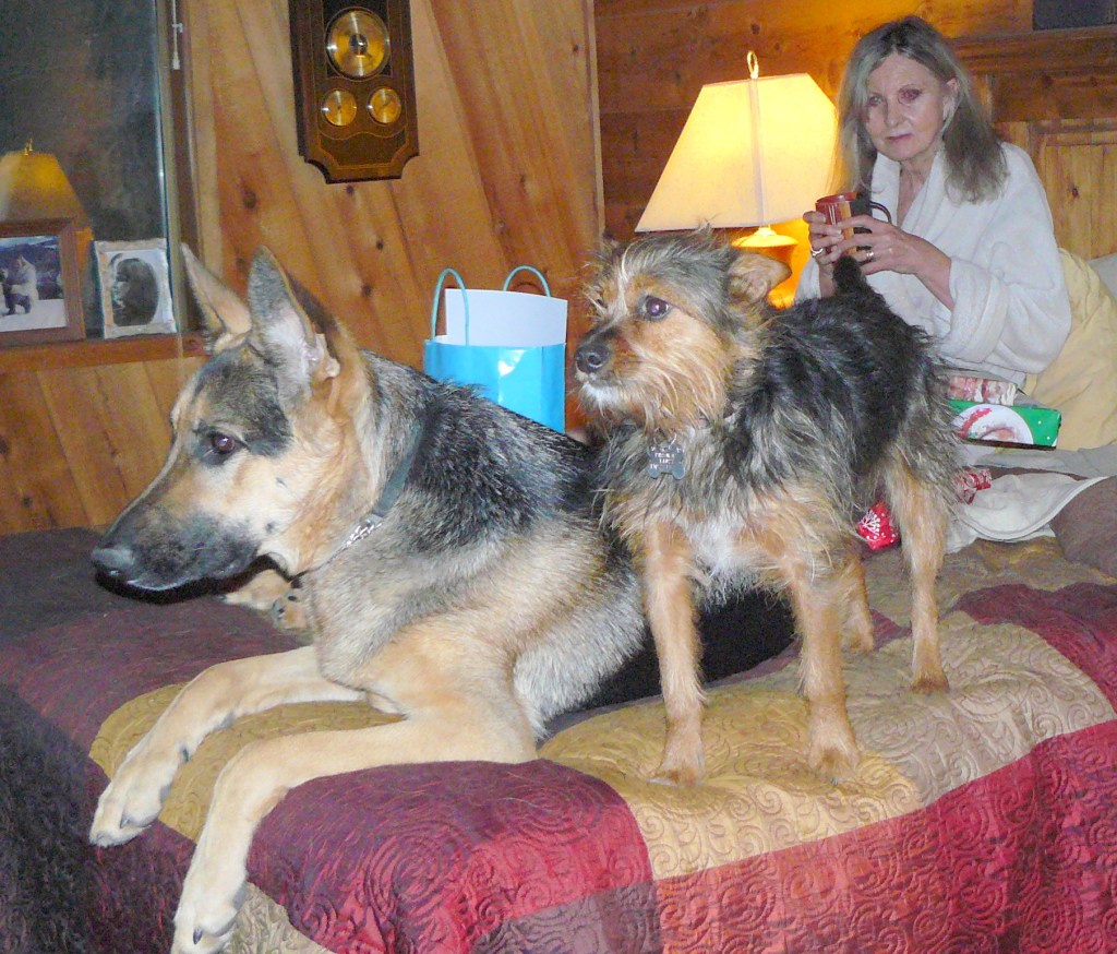 Cleo and Sweeny, 2013. Our first Christmas Day in our home in Oregon.