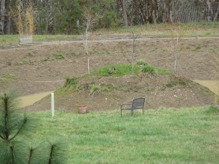 The integrity of Nature!