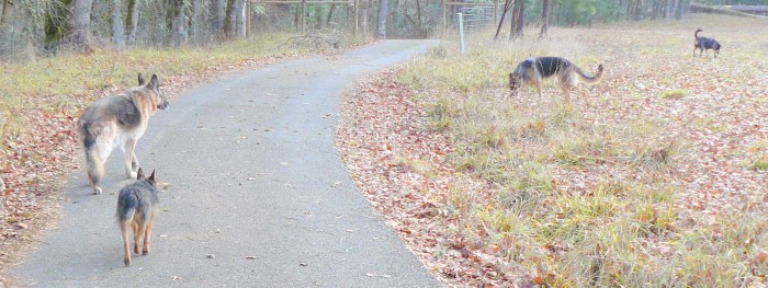 Pharaoh 'married' to his dearest friends. December, 2013.