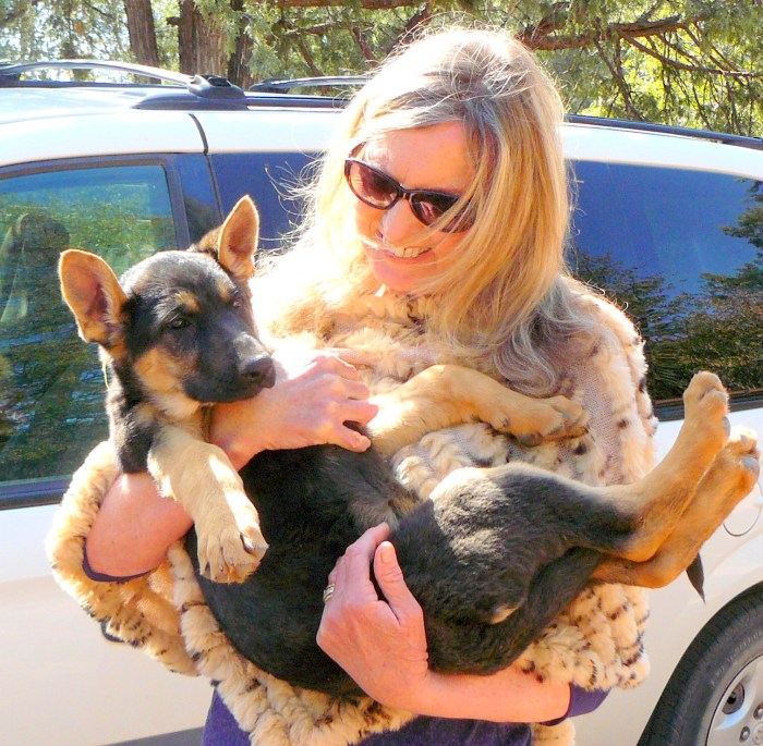 Puppy Cleo coming home - April 6th, 2012