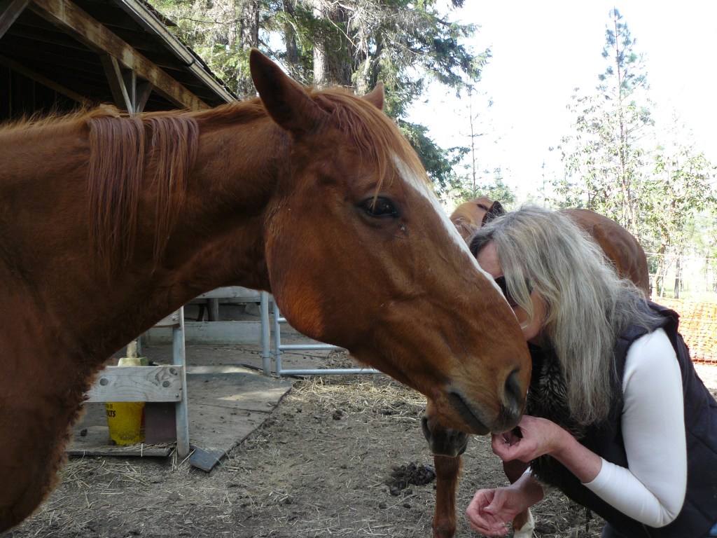 Both Ben and Ranger in the background are now very comfortable with Jean and me.