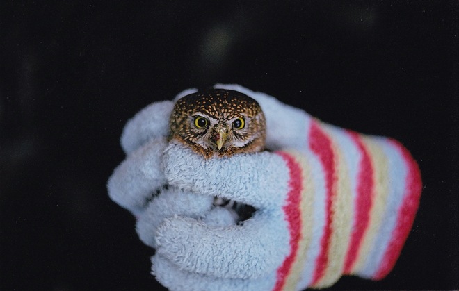 Yeh, well your eyes would get big too if someone had their fuzzy hands all over your bod! 