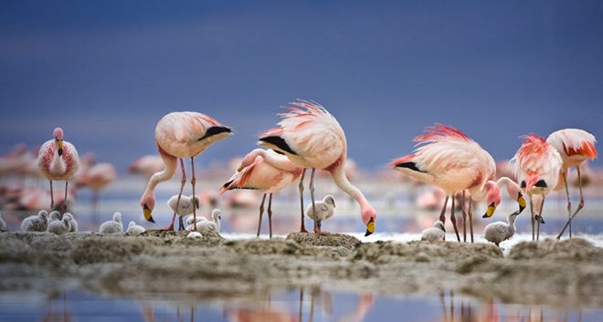 So sorry to have to ask all of you to help but I really do need that contact I dropped. 