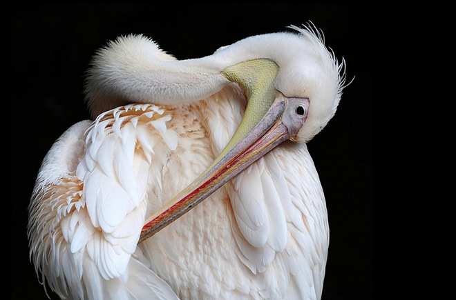 Oh how I hate it when it itches there!