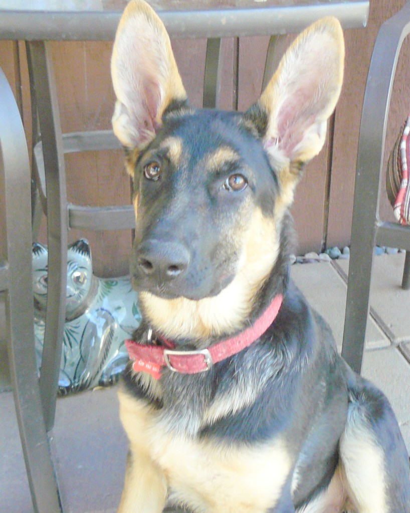 The second Cleo look from May, 2012.