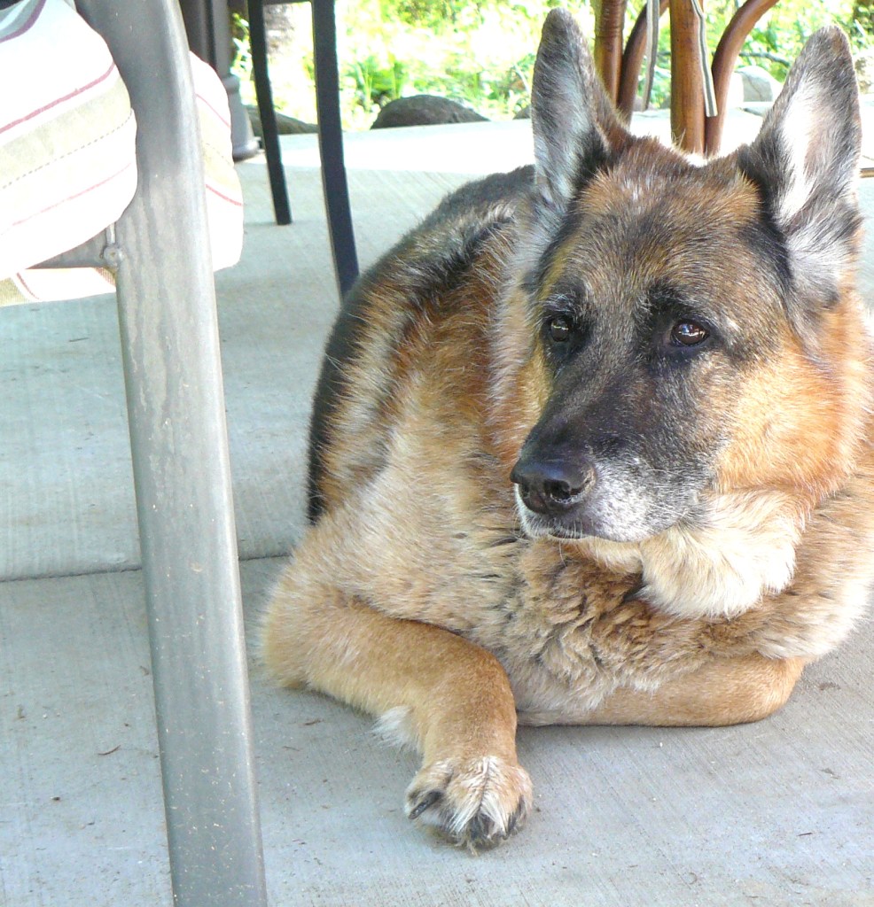 Pharaoh appreciates the milestone, as well!