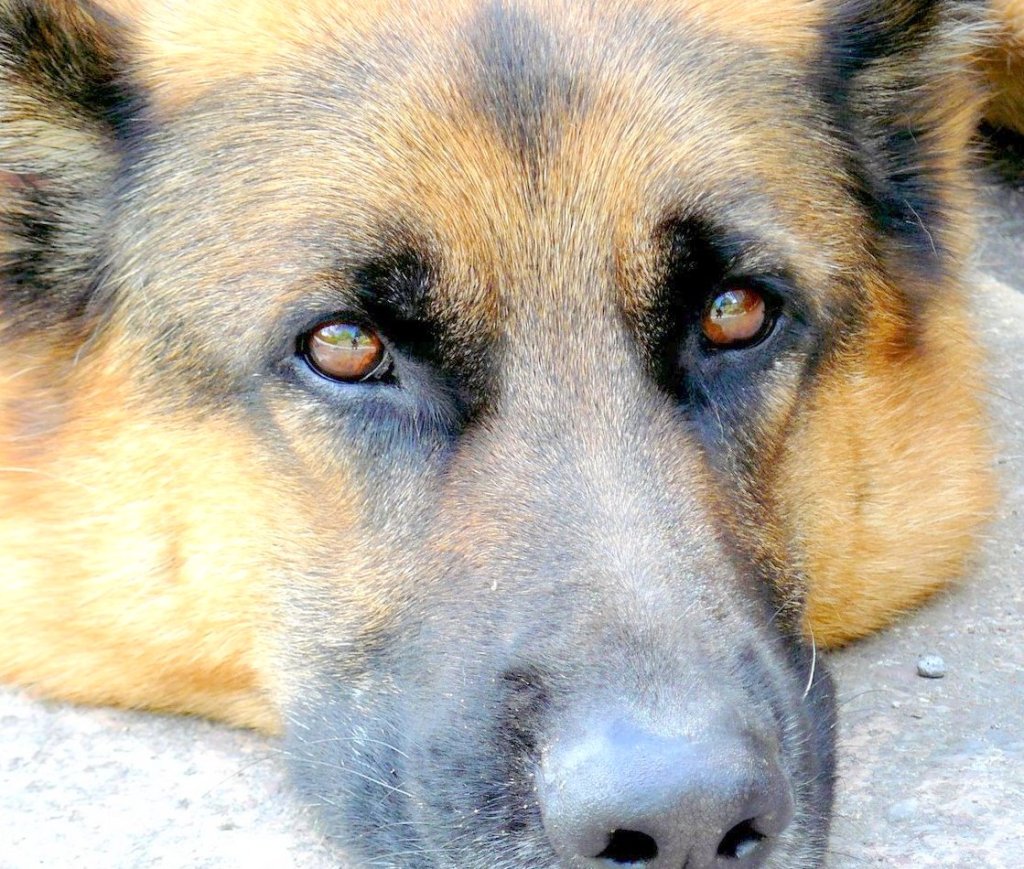 Mr Pharaoh's look from June, 2007.