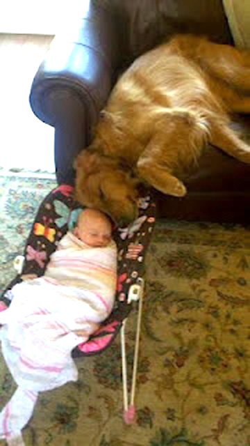 I love my new human! I think I'€™ll keep it.