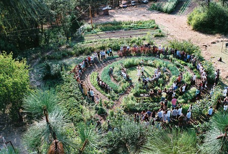 A picture from Sweet Water Farm.