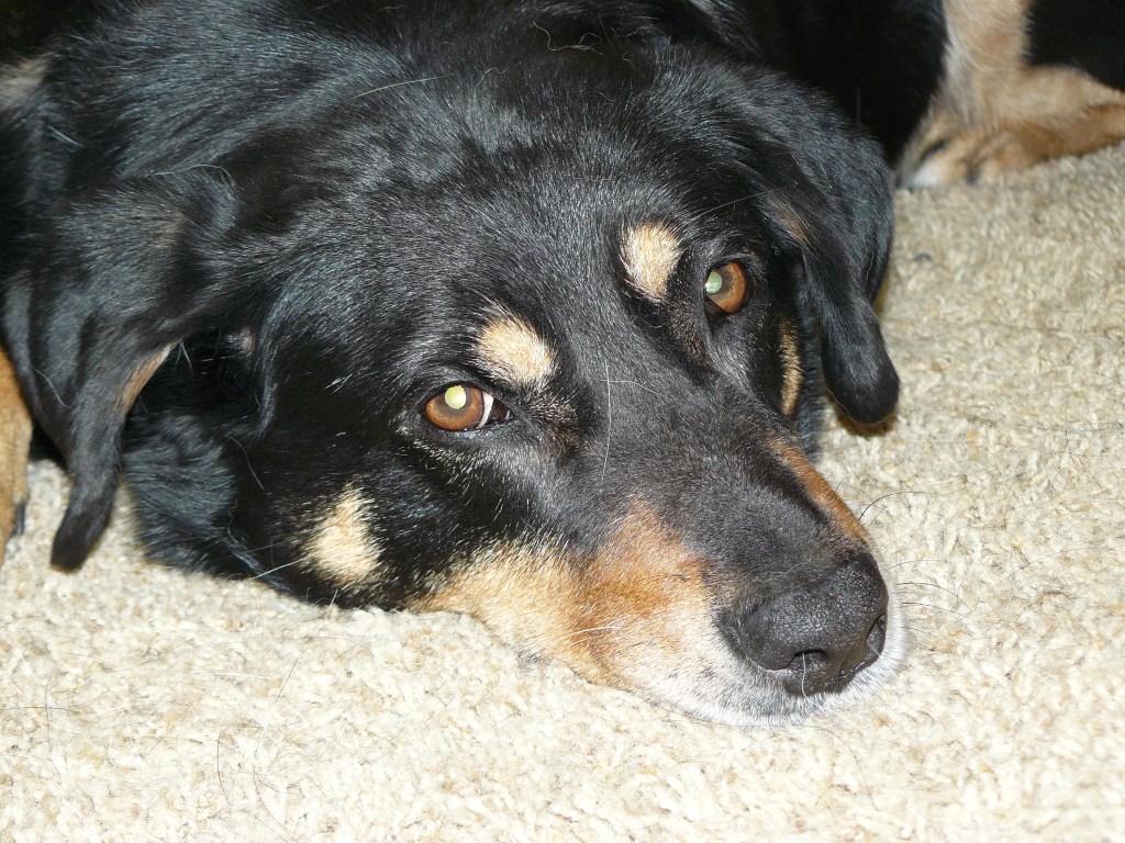 Hazel sends her thanks!