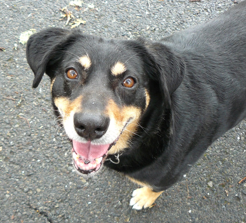 Hazel offering such openness and love in her eyes.