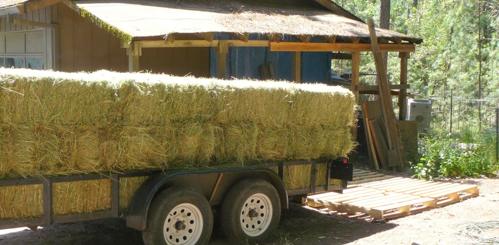 The things we do for our horses!