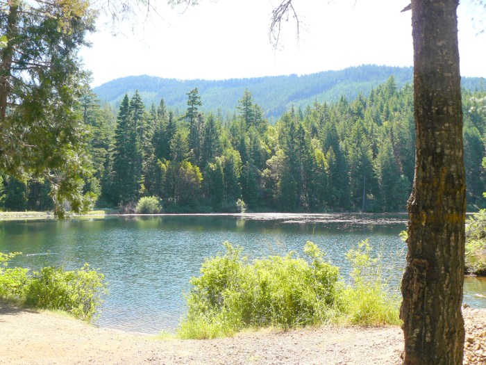 Secesh Reservoir.