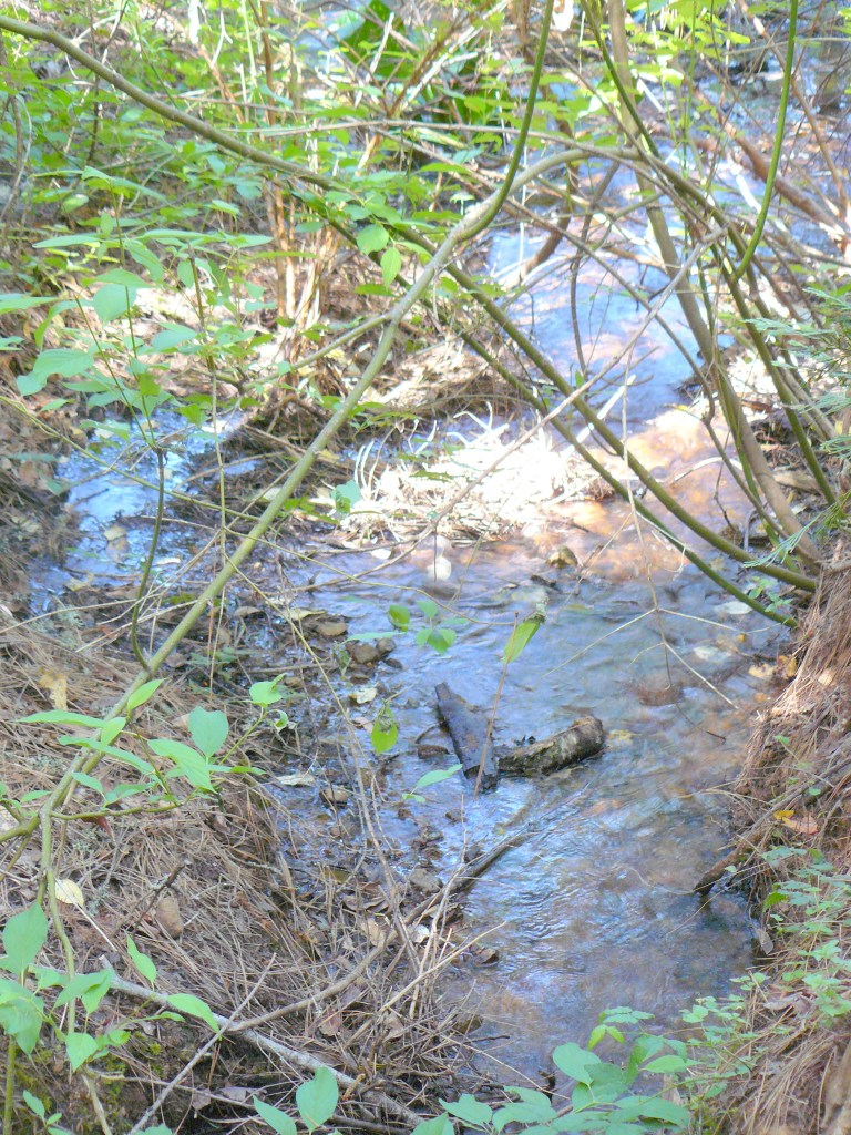 What flows in ... must eventually flow out.