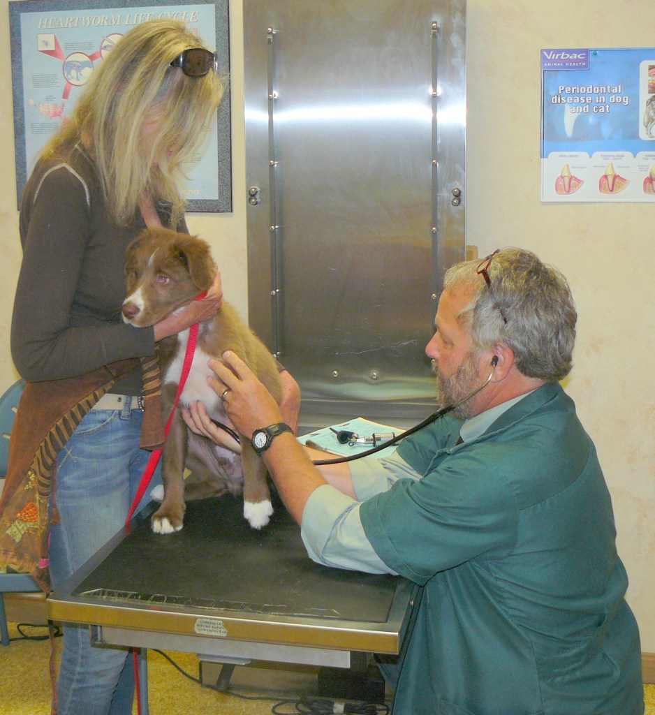 The good Doctor Goodbrod!