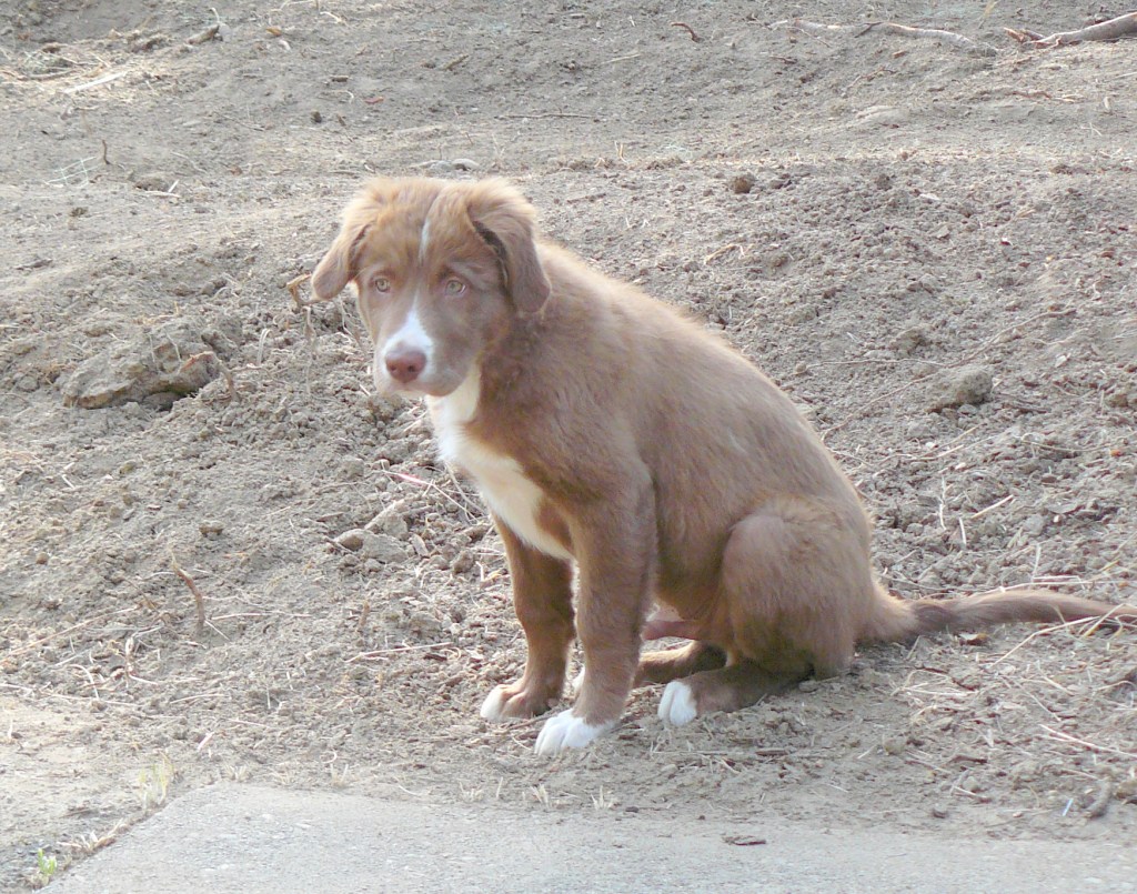 A contemplative moment!